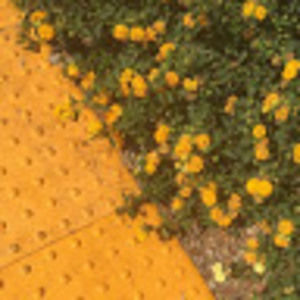 Meet your Posher, Kierra